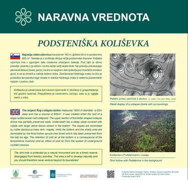 Podsteniška koliševka
